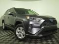Lunar Rock 2019 Toyota RAV4 XLE AWD Hybrid