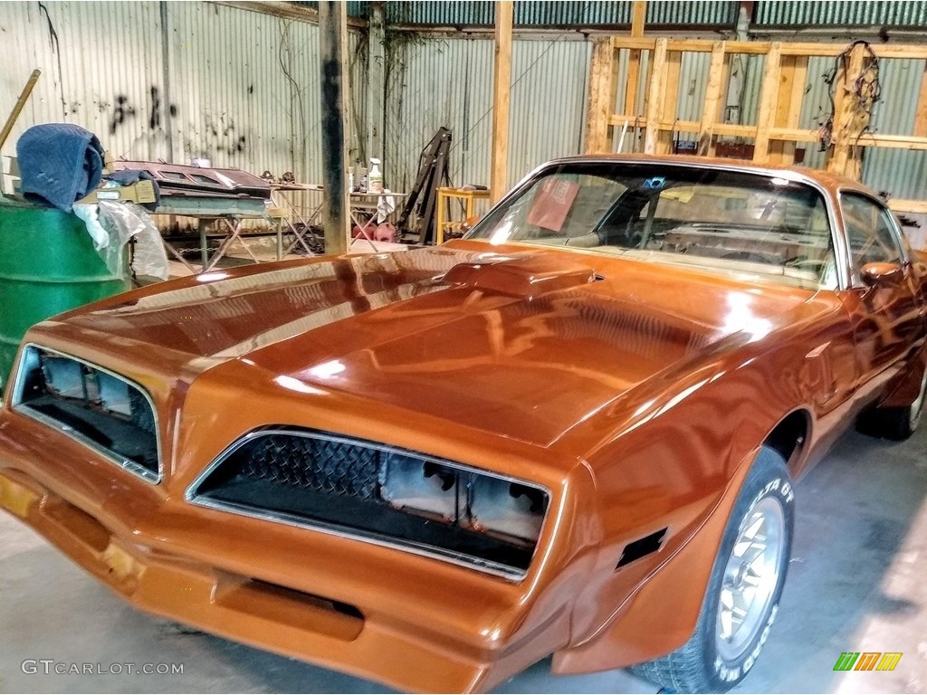 1978 Pontiac Firebird Formula Coupe Exterior Photos