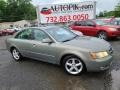 2008 Steel Gray Hyundai Sonata Limited V6  photo #1