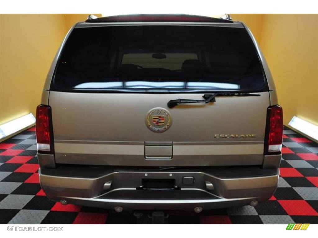 2003 Escalade AWD - Silver Sand / Shale photo #5