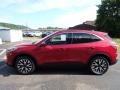 2020 Rapid Red Metallic Ford Escape SEL 4WD  photo #7
