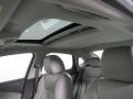 Ebony Twilight Metallic - Verano Sport Touring Group Photo No. 2