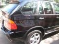Jet Black - X5 3.0i Photo No. 14