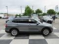 Platinum Gray Metallic - Tiguan SE Photo No. 3