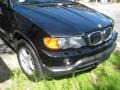 2003 Jet Black BMW X5 3.0i  photo #17