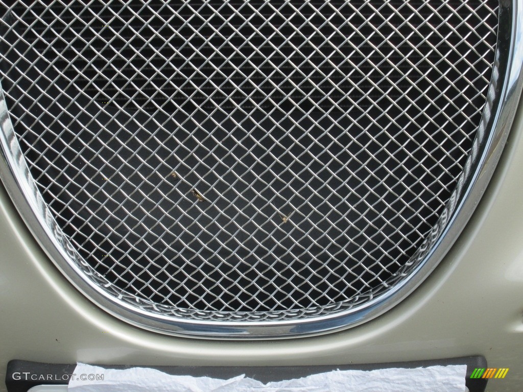 2006 S-Type 4.2 - Winter Gold Metallic / Champagne photo #5