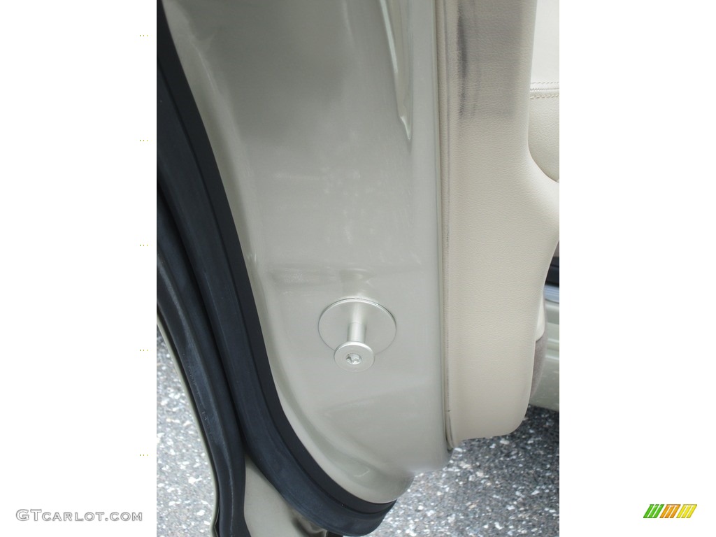 2006 S-Type 4.2 - Winter Gold Metallic / Champagne photo #11