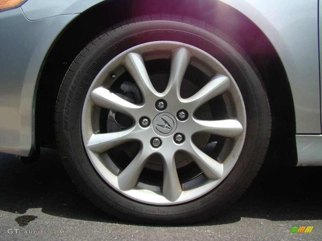 2006 TSX Sedan - Alabaster Silver Metallic / Ebony Black photo #6