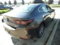 Machine Gray Metallic - MAZDA3 Premium Sedan Photo No. 6