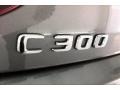 Selenite Grey Metallic - C 300 Coupe Photo No. 27
