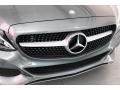 Selenite Grey Metallic - C 300 Coupe Photo No. 33