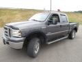 2005 Dark Stone Metallic Ford F250 Super Duty XLT Crew Cab 4x4  photo #5