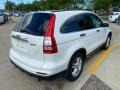 2010 Taffeta White Honda CR-V EX AWD  photo #2