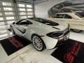 Silica White - 570GT Coupe Photo No. 8