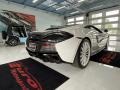 Silica White - 570GT Coupe Photo No. 10