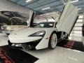 Silica White - 570GT Coupe Photo No. 16