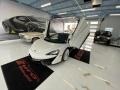 Silica White - 570GT Coupe Photo No. 19