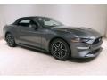 2019 Magnetic Ford Mustang EcoBoost Premium Convertible  photo #2