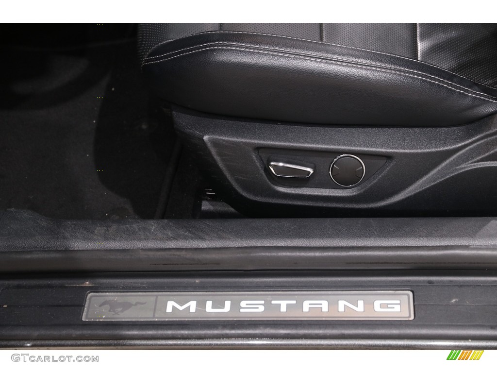 2019 Mustang EcoBoost Premium Convertible - Magnetic / Ebony photo #9