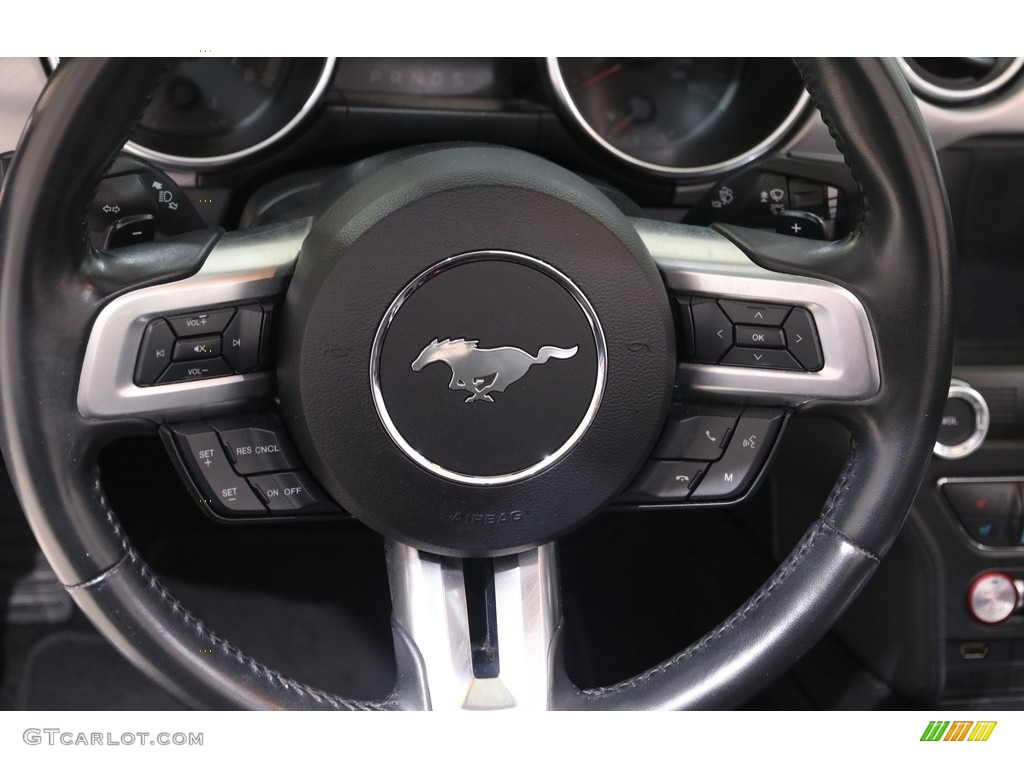 2019 Mustang EcoBoost Premium Convertible - Magnetic / Ebony photo #12
