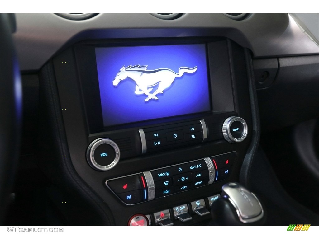 2019 Mustang EcoBoost Premium Convertible - Magnetic / Ebony photo #15