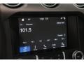 Magnetic - Mustang EcoBoost Premium Convertible Photo No. 17