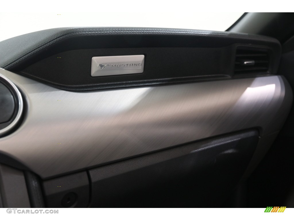 2019 Mustang EcoBoost Premium Convertible - Magnetic / Ebony photo #23