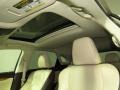 Satin Cashmere Metallic - RX 350 AWD Photo No. 32