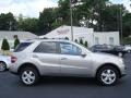 Pewter Metallic - ML 500 4Matic Photo No. 6