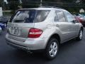 2006 Pewter Metallic Mercedes-Benz ML 500 4Matic  photo #7