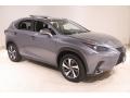 Nebula Gray Pearl - NX 300 AWD Photo No. 1