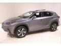 Nebula Gray Pearl - NX 300 AWD Photo No. 3