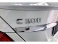 Polar White - C 300 Sedan Photo No. 27