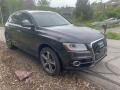 Monsoon Gray Metallic - Q5 3.0 TFSI Premium Plus quattro Photo No. 5