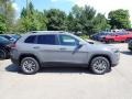 Sting-Gray - Cherokee Latitude Plus 4x4 Photo No. 6