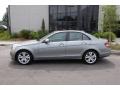 2009 Palladium Silver Metallic Mercedes-Benz C 300 Luxury  photo #2