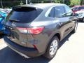 Magnetic Metallic - Escape SE 4WD Photo No. 2