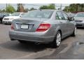 2009 Palladium Silver Metallic Mercedes-Benz C 300 Luxury  photo #15