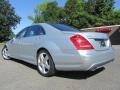 Iridium Silver Metallic - S 550 4Matic Sedan Photo No. 8