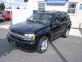 Black - TrailBlazer LS 4x4 Photo No. 2