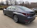 Nebula Gray Pearl - ES 350 Photo No. 4