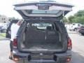 Black - TrailBlazer LS 4x4 Photo No. 12