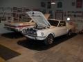 Wimbledon White - Mustang Fastback Photo No. 12