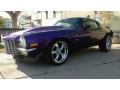 Purple - Camaro Coupe Photo No. 2