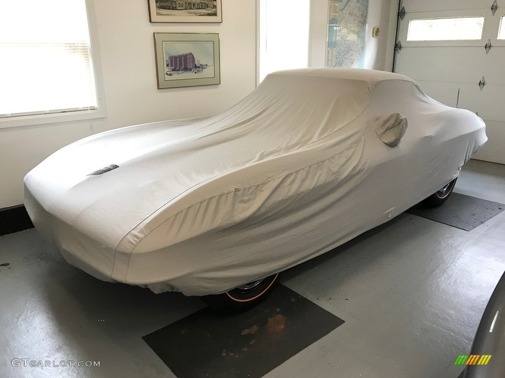 1966 Corvette Sting Ray Coupe - Silver Pearl / Black photo #11