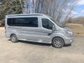 Ingot Silver 2017 Ford Transit Van 250 MR Long Conversion Exterior