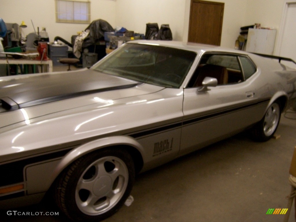 Silver Ford Mustang