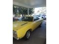 Yellow - Roadrunner Coupe Photo No. 4