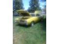 Yellow - Roadrunner Coupe Photo No. 5