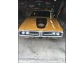 Butterscotch - Charger Super Bee Photo No. 2